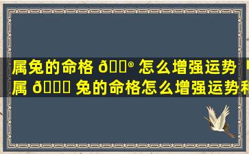 属兔的命格 💮 怎么增强运势「属 🐋 兔的命格怎么增强运势和财运」